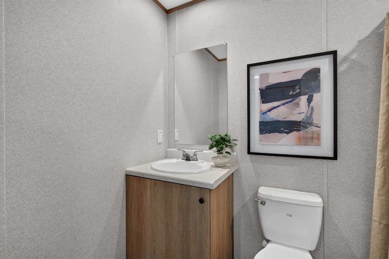Ozark bathroom home features